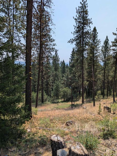 Photo of TBD Syringa Drive, New Meadows, ID 83654 (MLS # 98942762)
