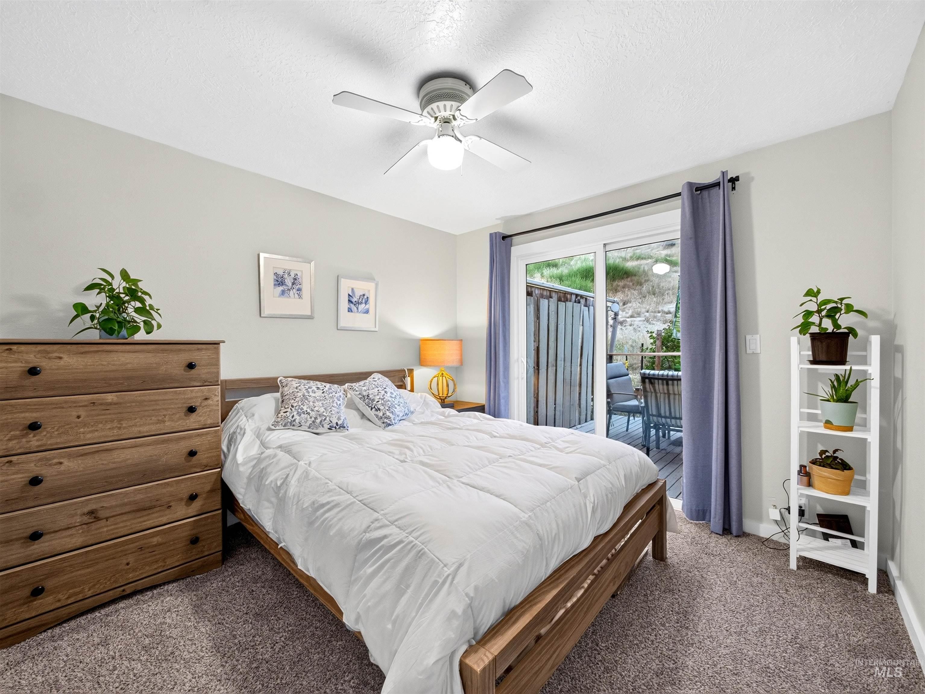 Comfortable bedroom featuring a ceiling fan with integrated lighting, soft gray wall paint, and plush carpet flooring