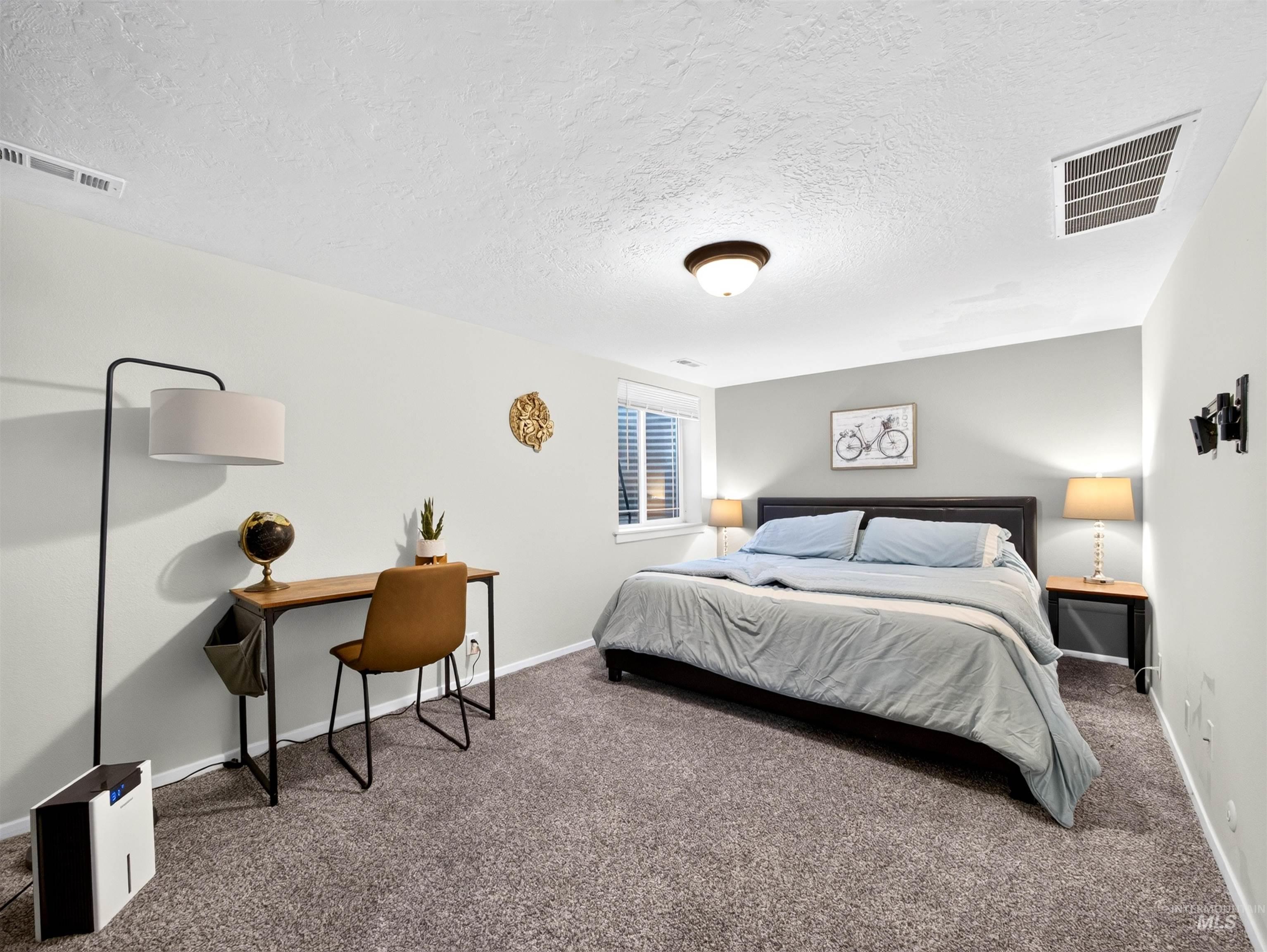 Carpeted room with light gray walls and a single window