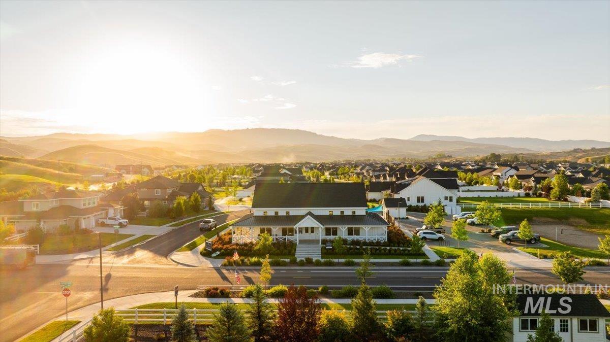 Modern residential development featuring varied architectural styles and mature landscaping