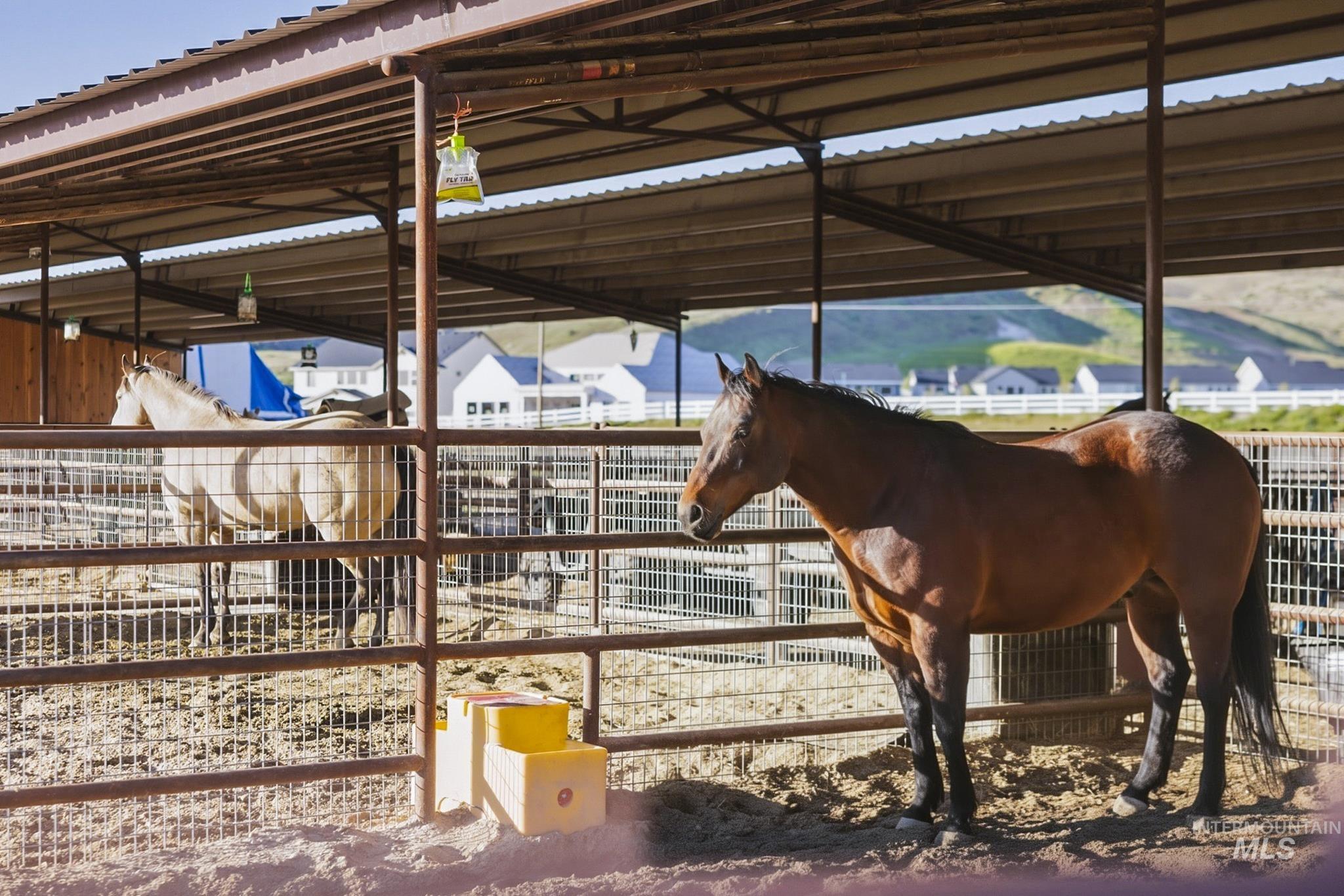 Covered equestrian stalls with metal fencing and a dirt floor