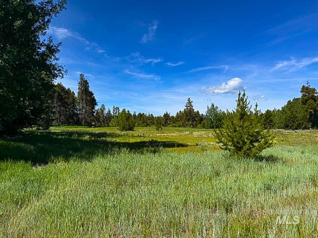 View of local wilderness