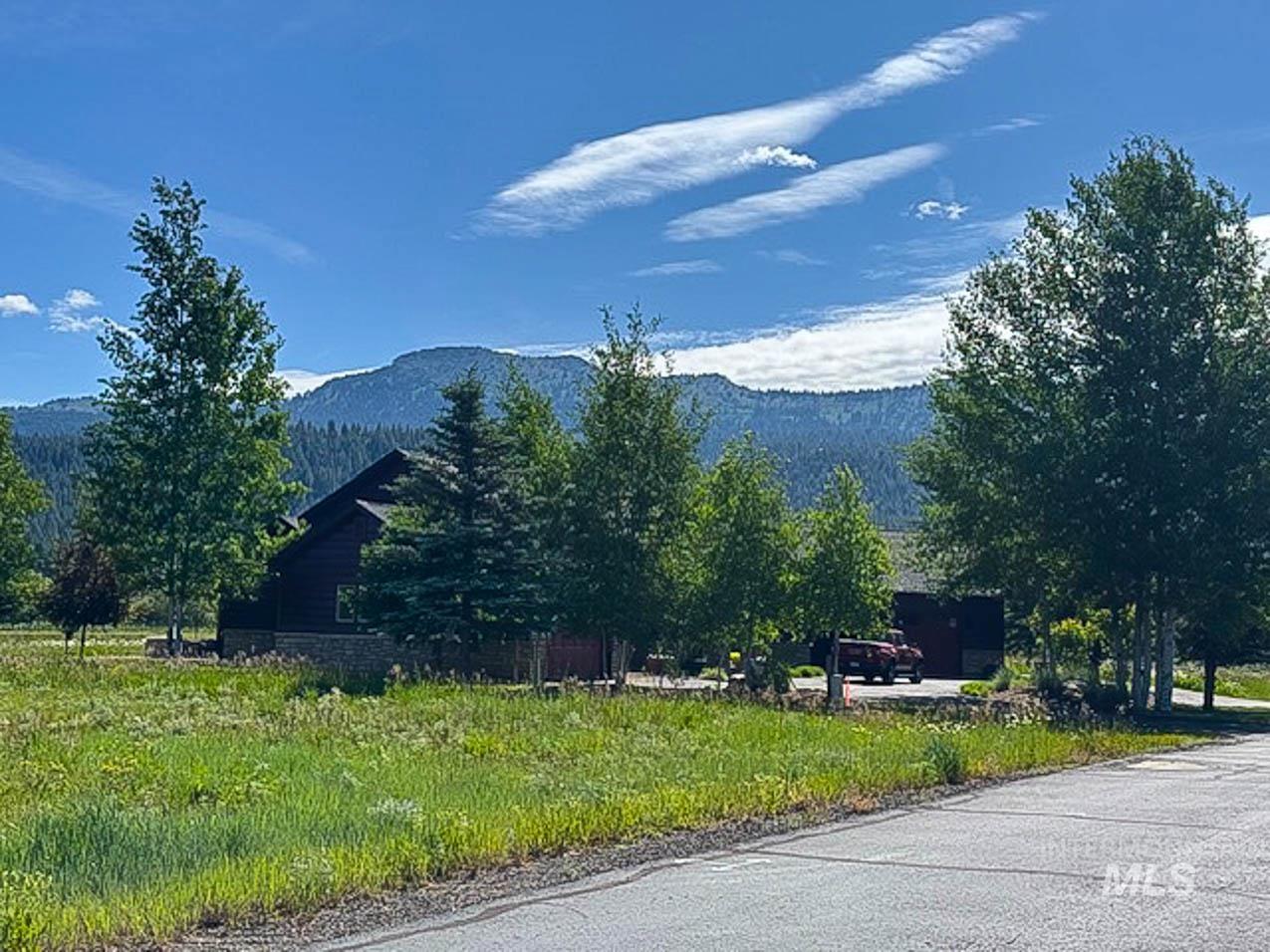 View of mountain background