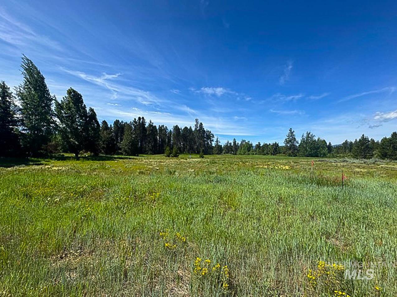 View of local wilderness with rural landscape