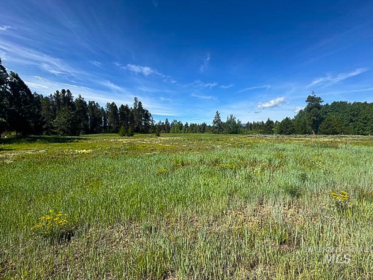 View of undeveloped land featuring rural landscape