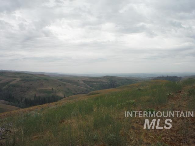 LOT 4 Middle Fork Rd, Council, Idaho image 1