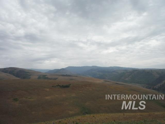 LOT 4 Middle Fork Rd, Council, Idaho image 5