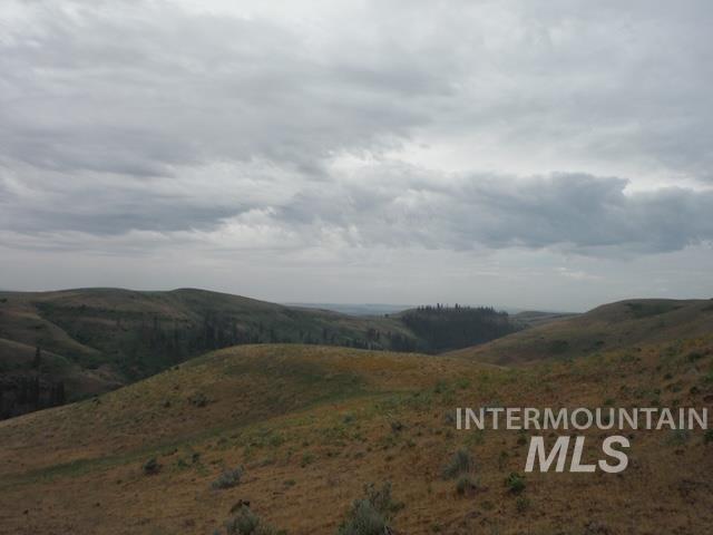 LOT 4 Middle Fork Rd, Council, Idaho image 6