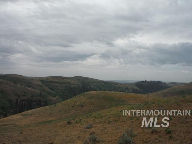 LOT 4 Middle Fork Rd, Council, Idaho image 7