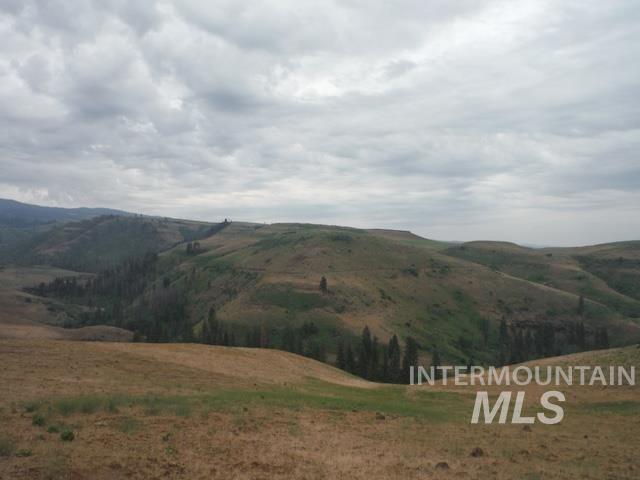 LOT 4 Middle Fork Rd, Council, Idaho image 8