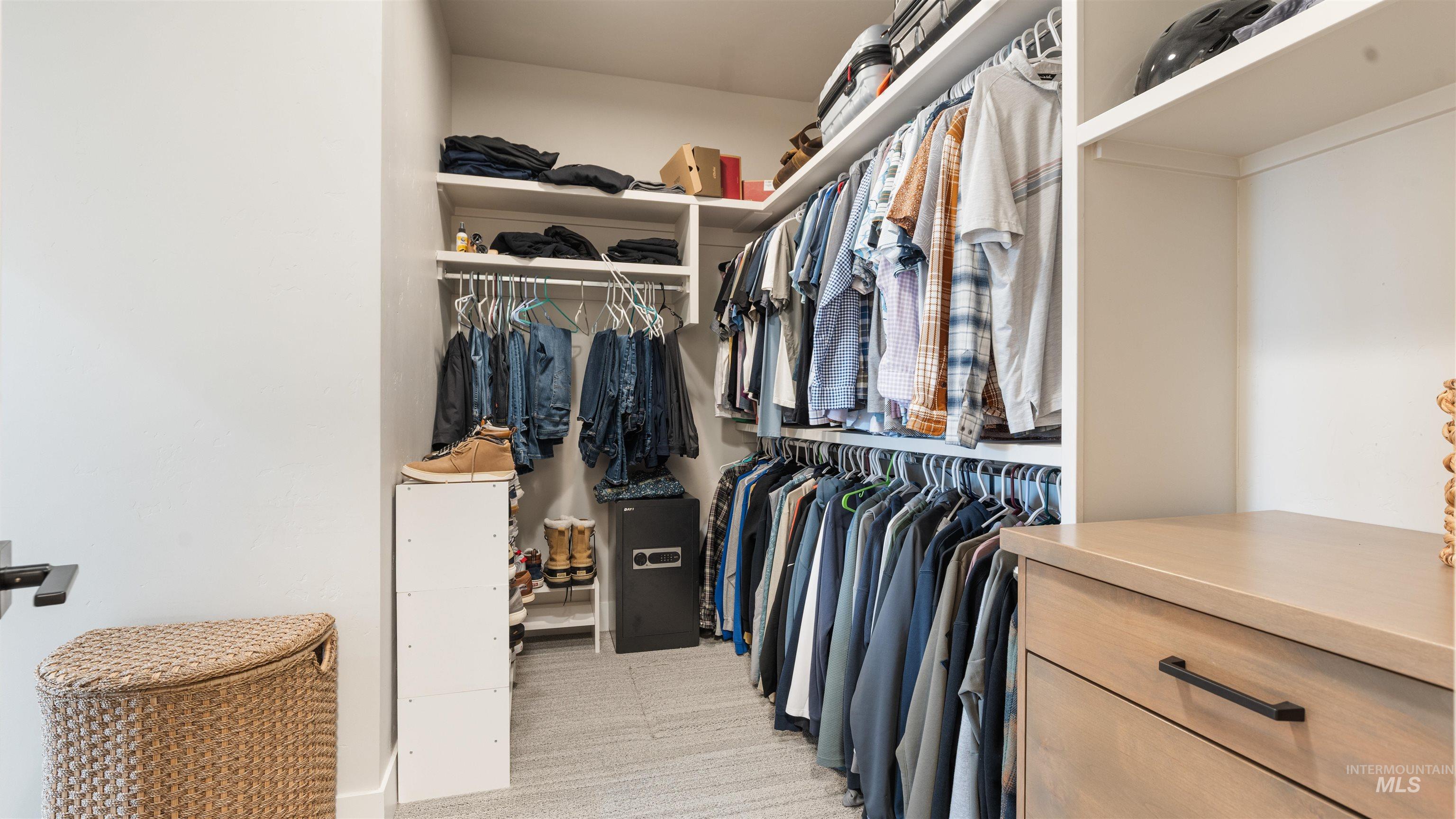 Walk in closet with light colored carpet