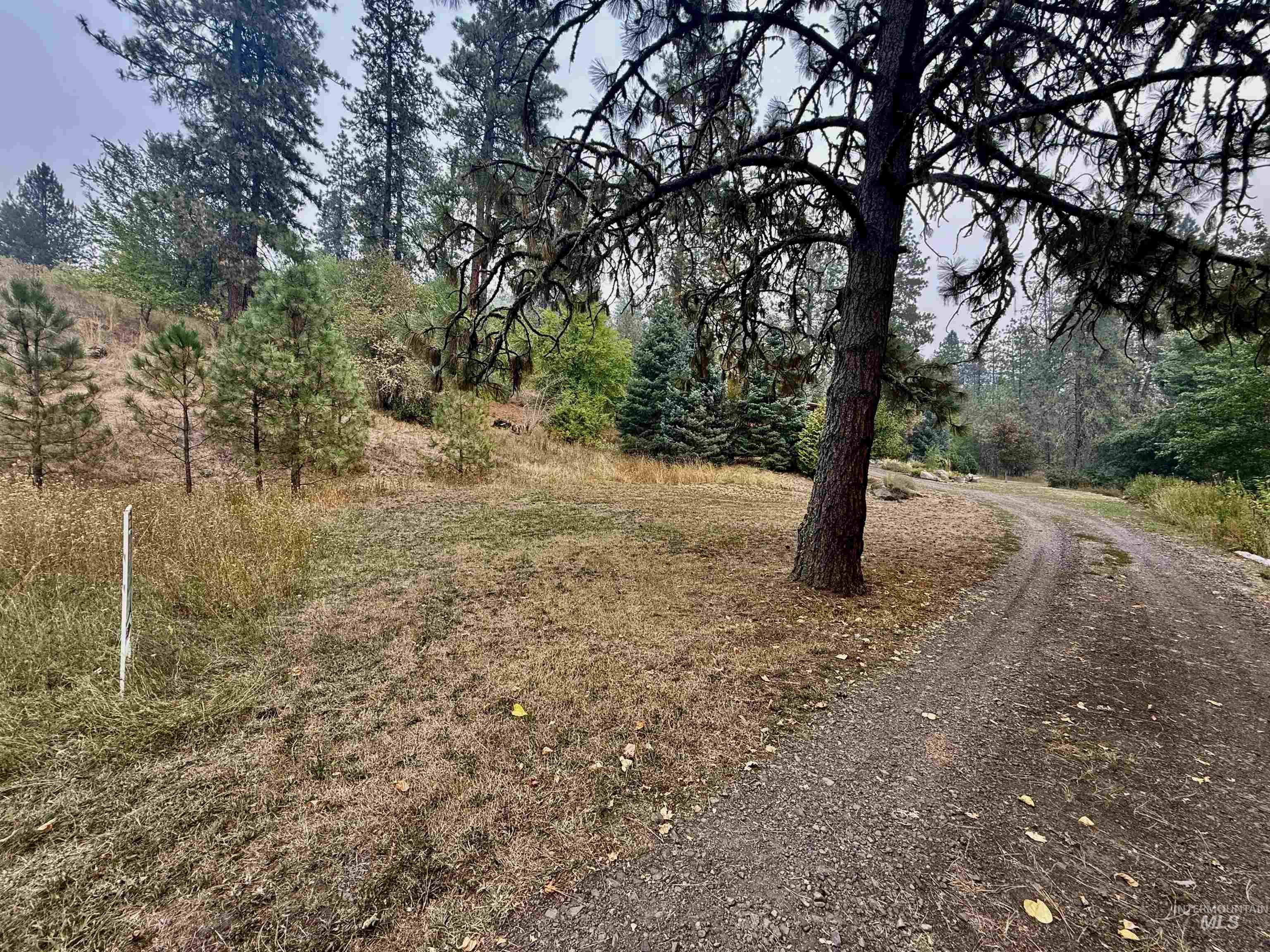 TBD HWY 12 T426, T405