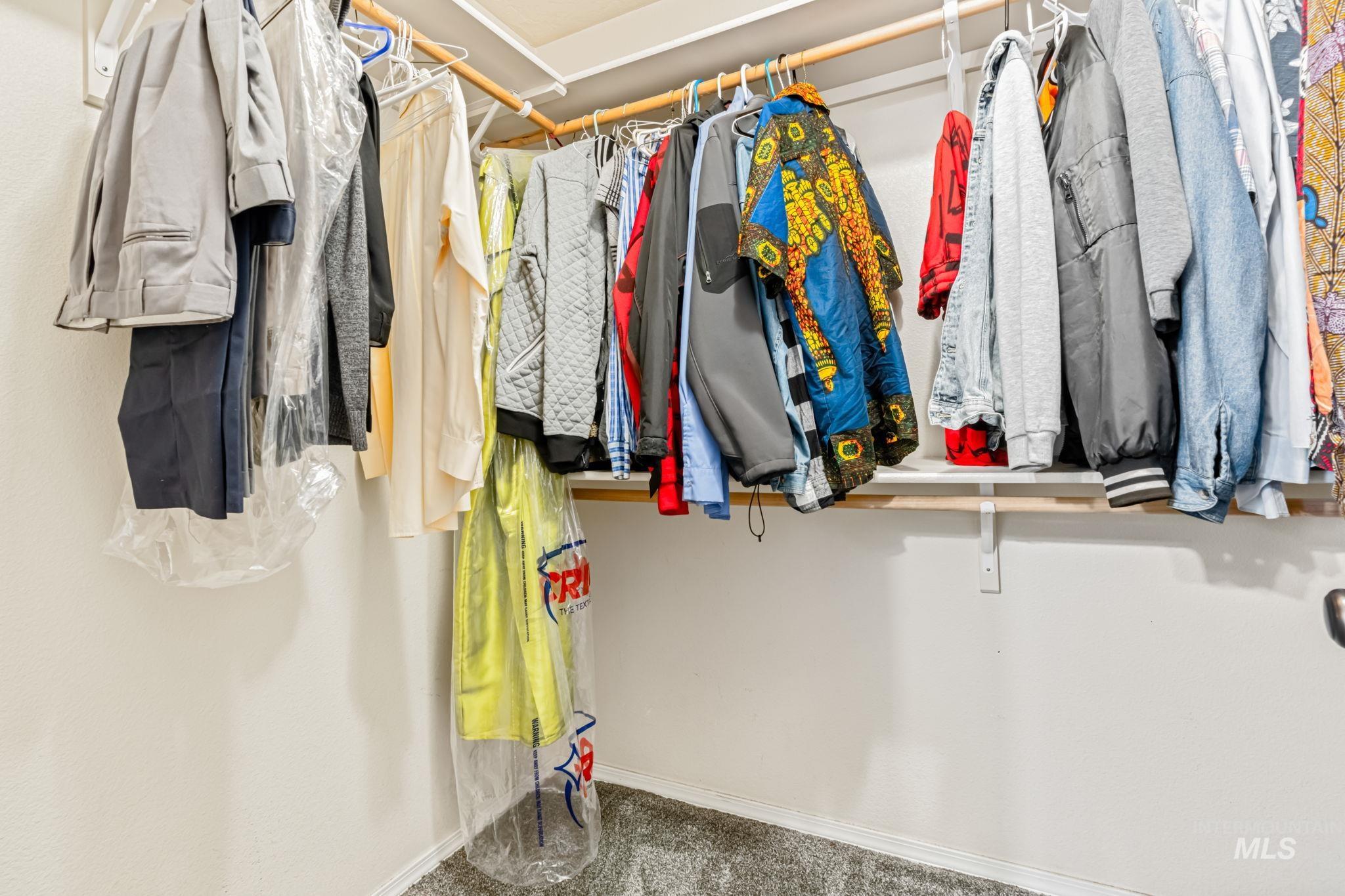 Spacious closet with carpet flooring