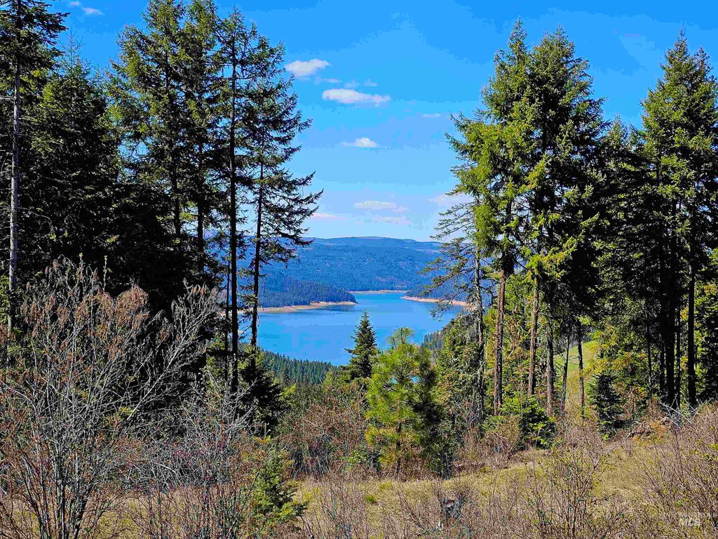 Photo of 1337 Tie Creek Dr, Orofino, ID 83544 (MLS # 98943817)