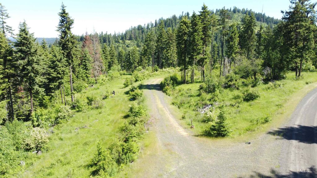 Photo of 1337 Tie Creek Dr, Orofino, ID 83544 (MLS # 98943817)