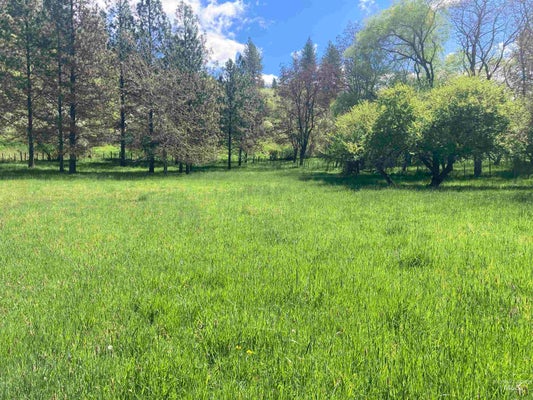ADDRESS PRIVATE, KAMIAH, ID 83536 - Image f6cb5cc3823473a0490b60c8b7c48c27/3201040489