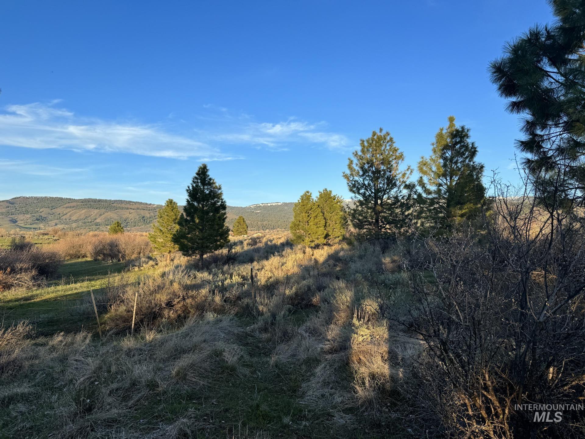 2270 Orchard Rd Lot 2 Rd, Council, Idaho image 10