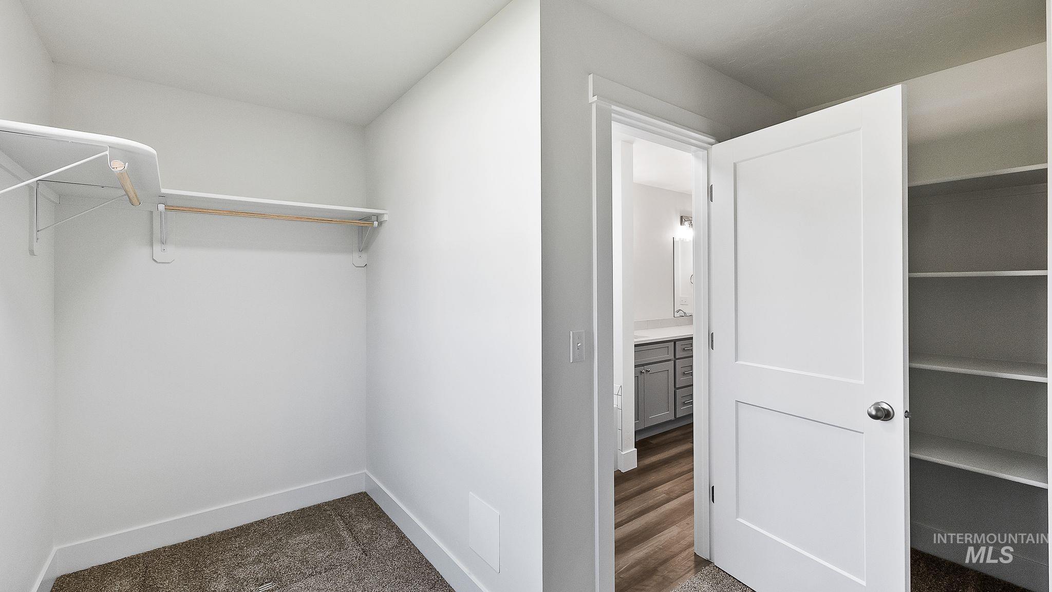 Spacious closet with dark colored carpet
