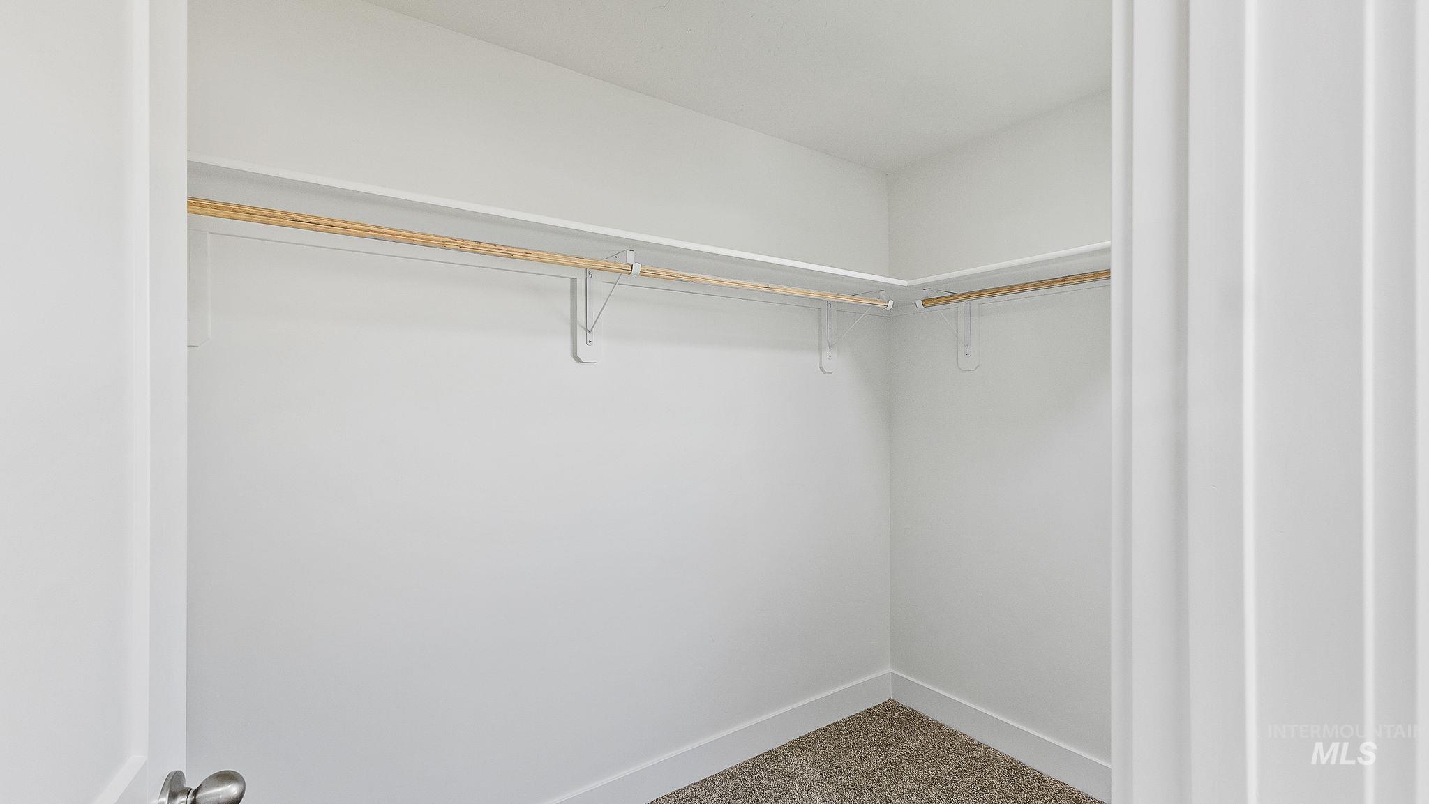 Spacious closet featuring carpet floors