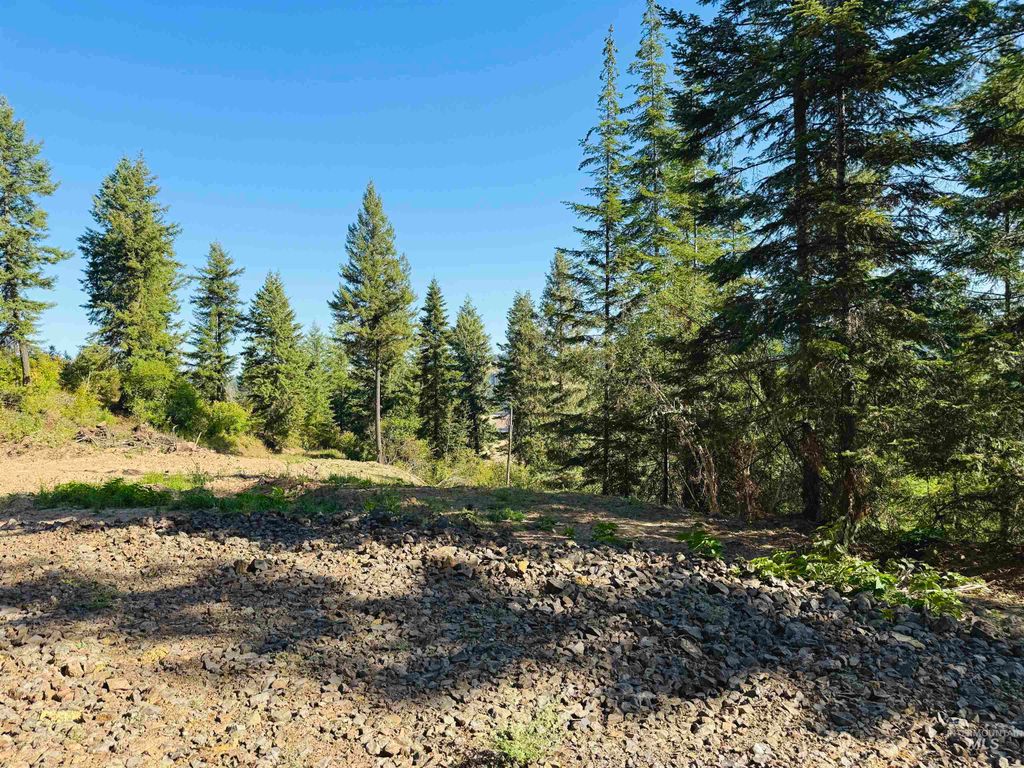 Photo of 1684 Tranquil Lane, Orofino, ID 83544 (MLS # 98947699)