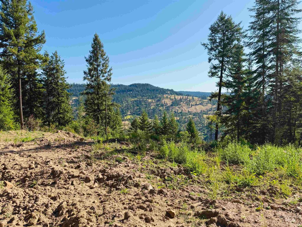 Photo of 1684 Tranquil Lane, Orofino, ID 83544 (MLS # 98947699)