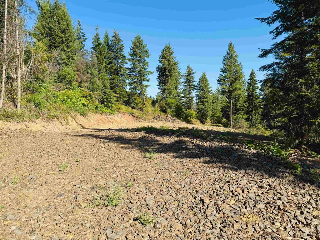 Photo of 1684 Tranquil Lane, Orofino, ID 83544 (MLS # 98947699)