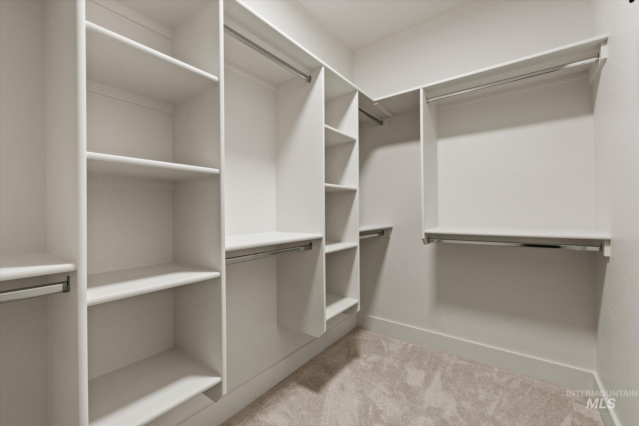 Walk in closet with carpet flooring