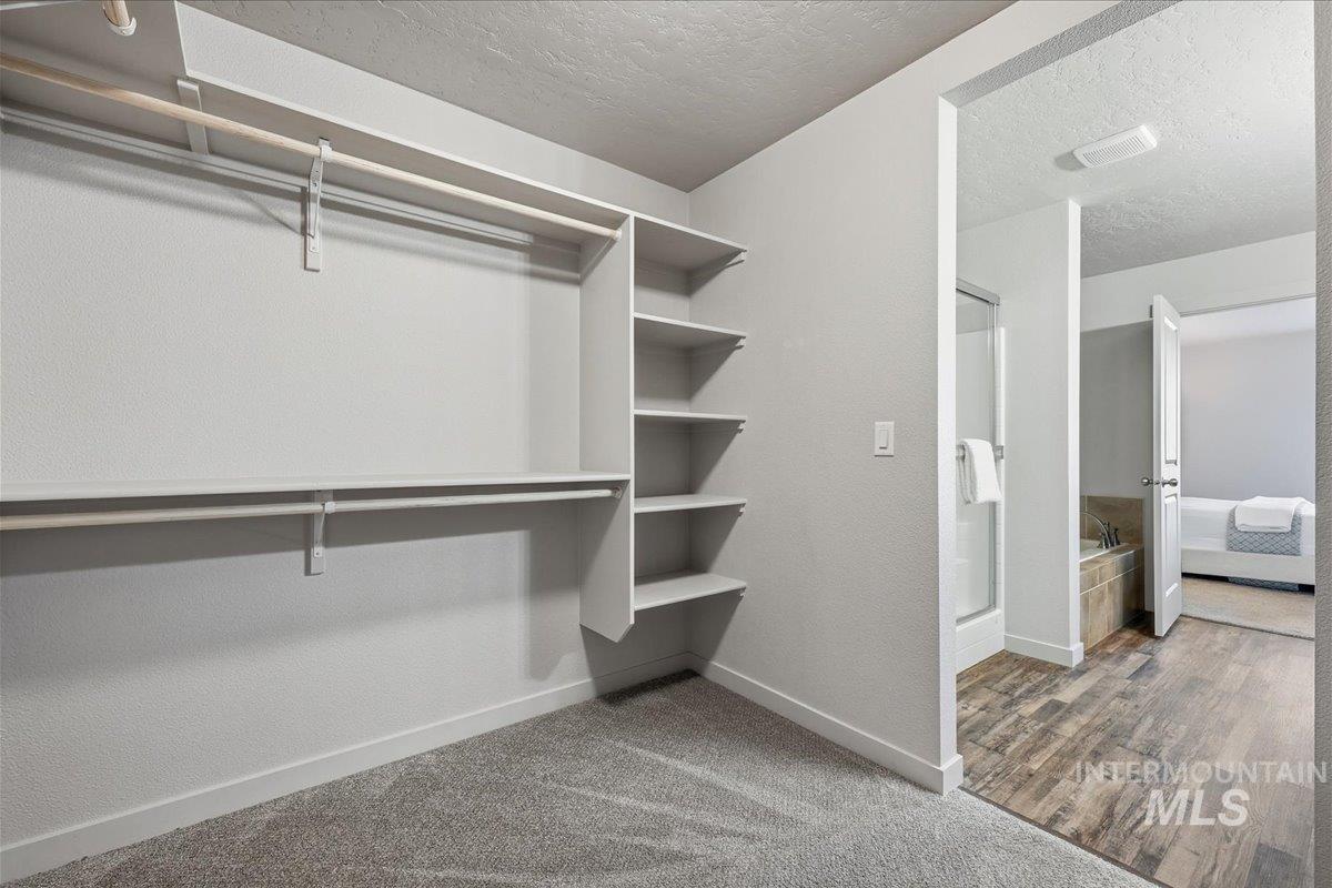 Spacious closet featuring light carpet