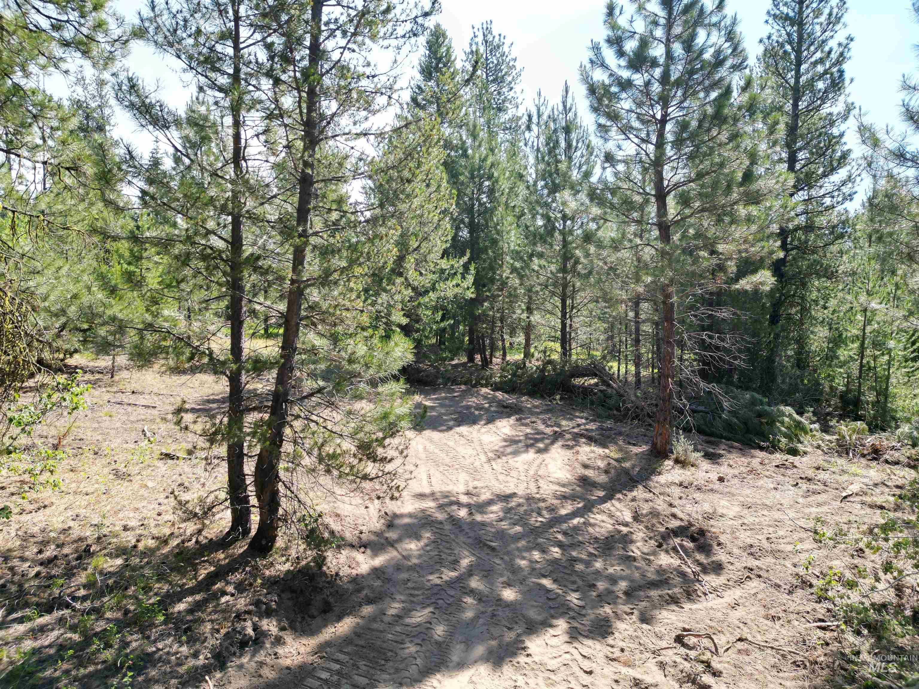 Lot 10 Timber Haven Place