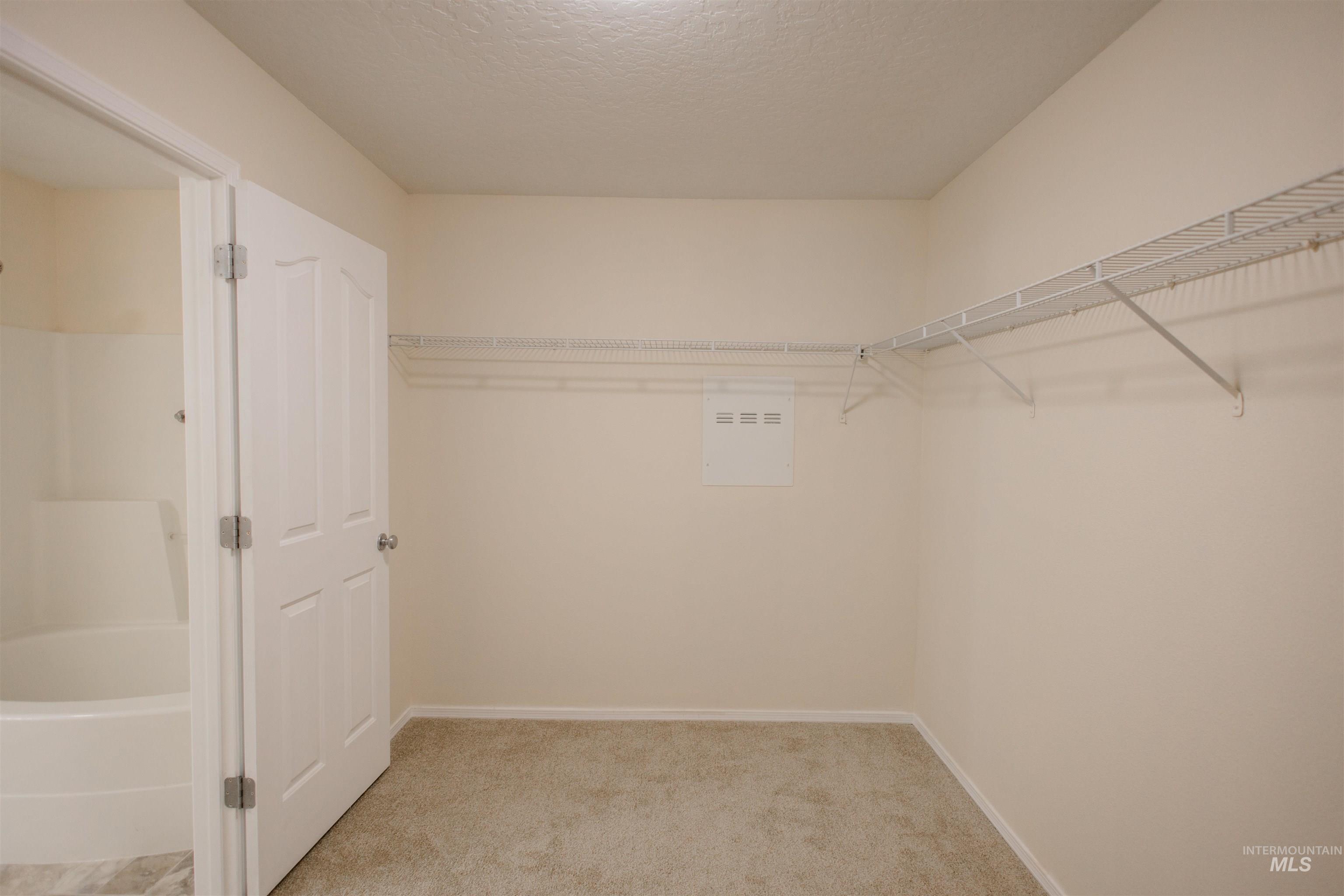 Spacious closet featuring light colored carpet