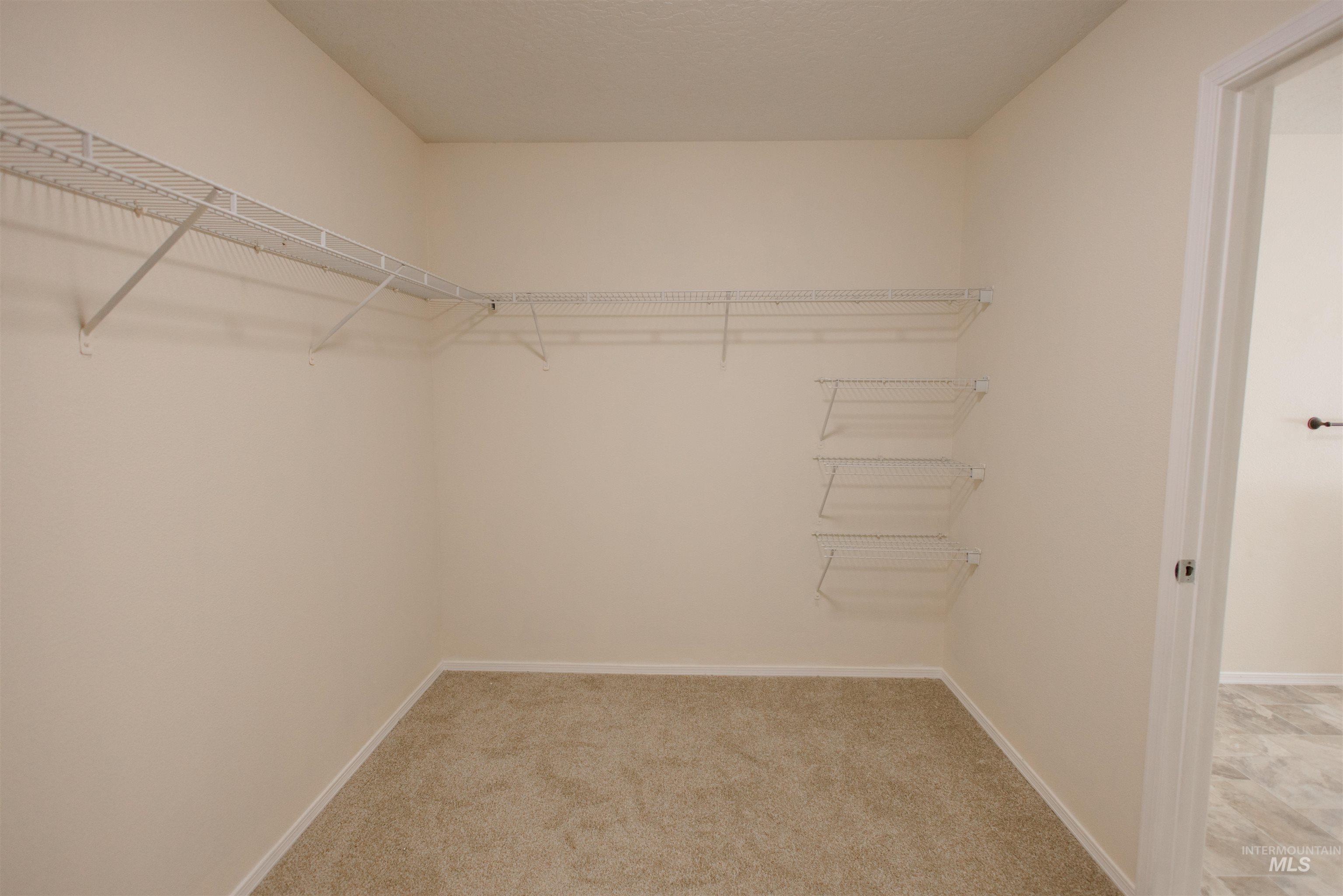 Spacious closet with light carpet