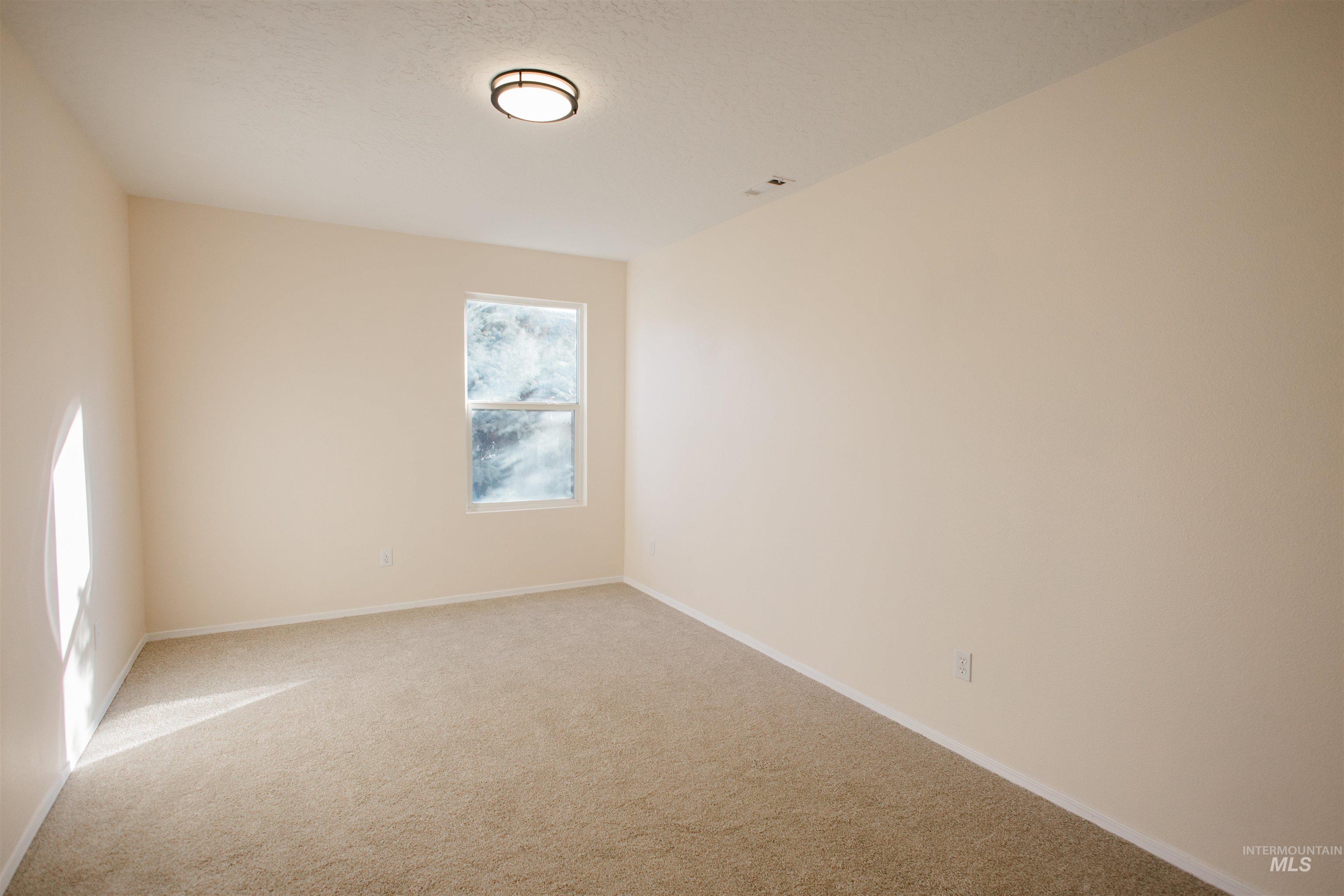 Unfurnished room featuring carpet and a textured ceiling