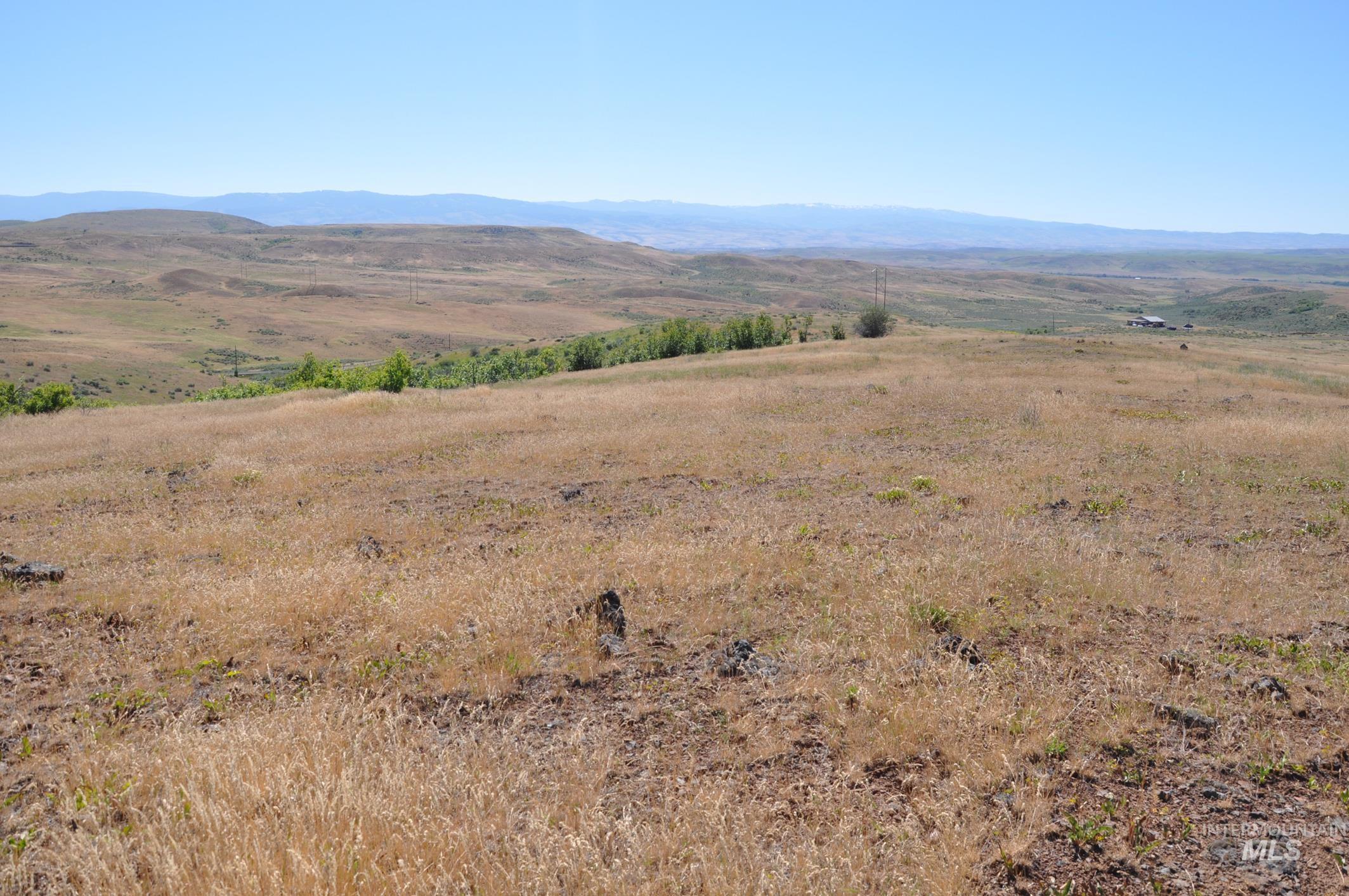 TBD Goodrich Rd Parcel A, Cambridge, Idaho image 2