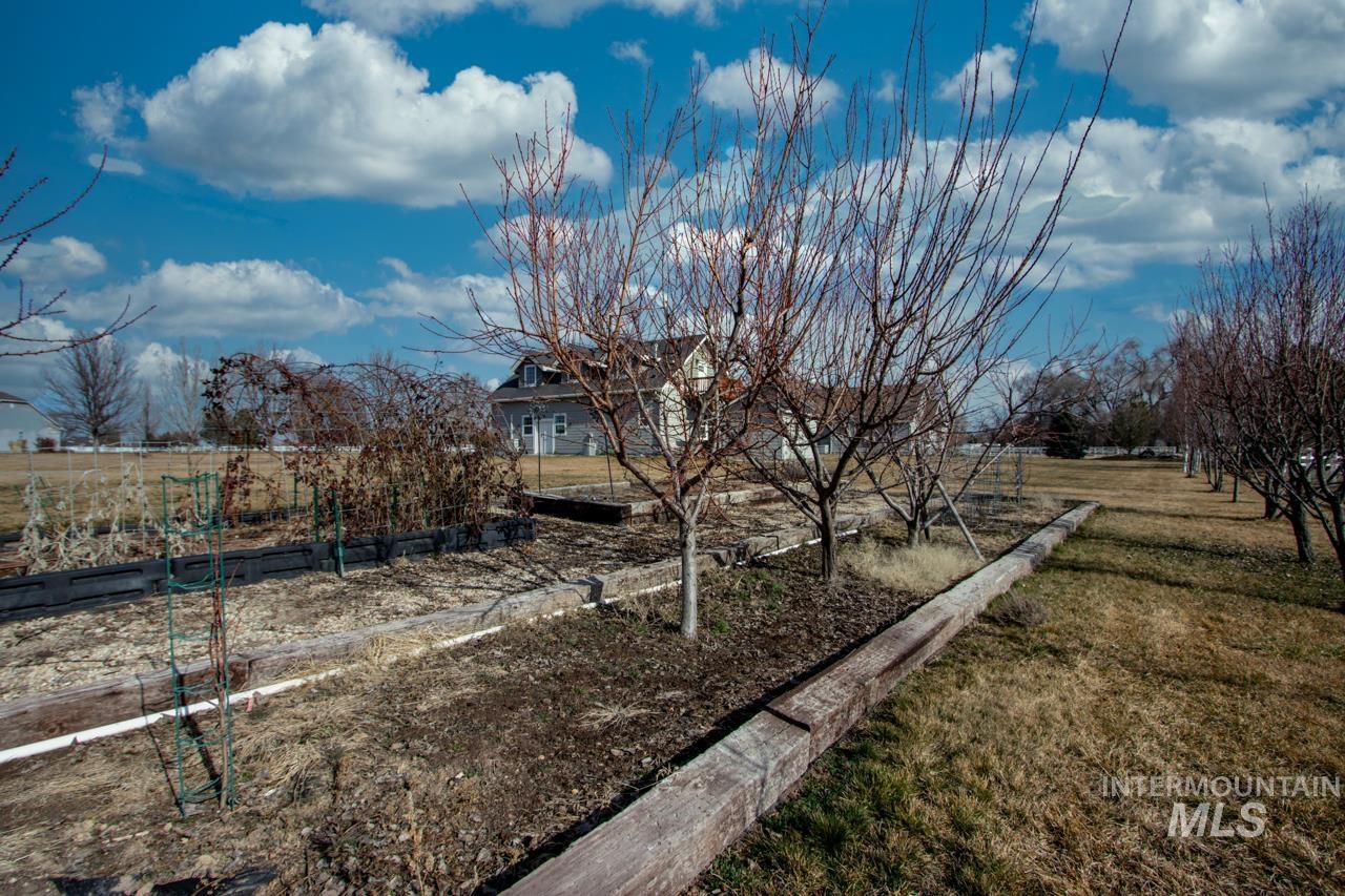 View of grassy yard featuring a vegetable garden and a rural view