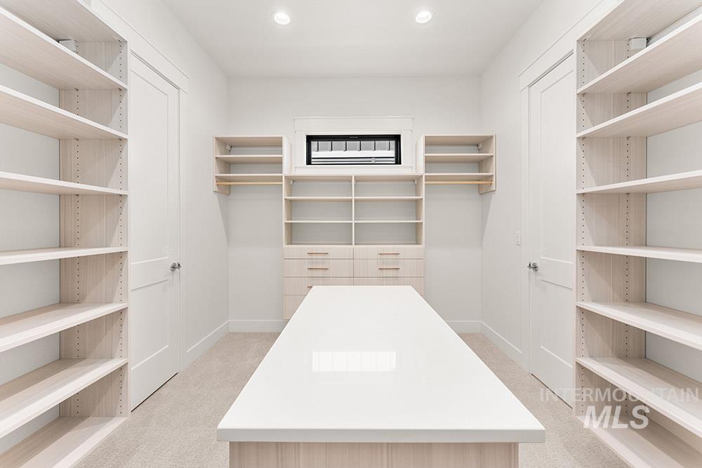 Spacious closet featuring light carpet