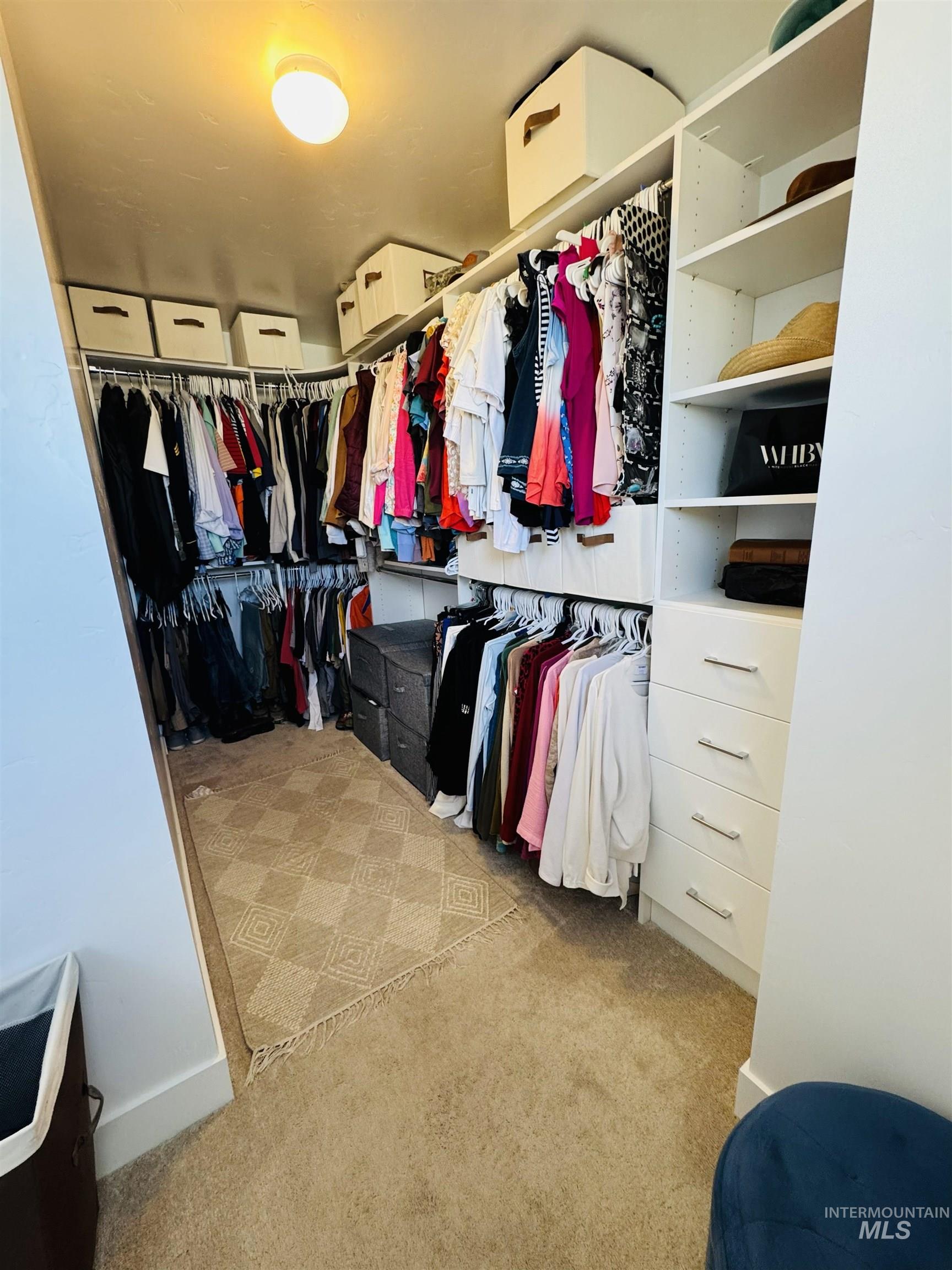 Walk in closet with light carpet