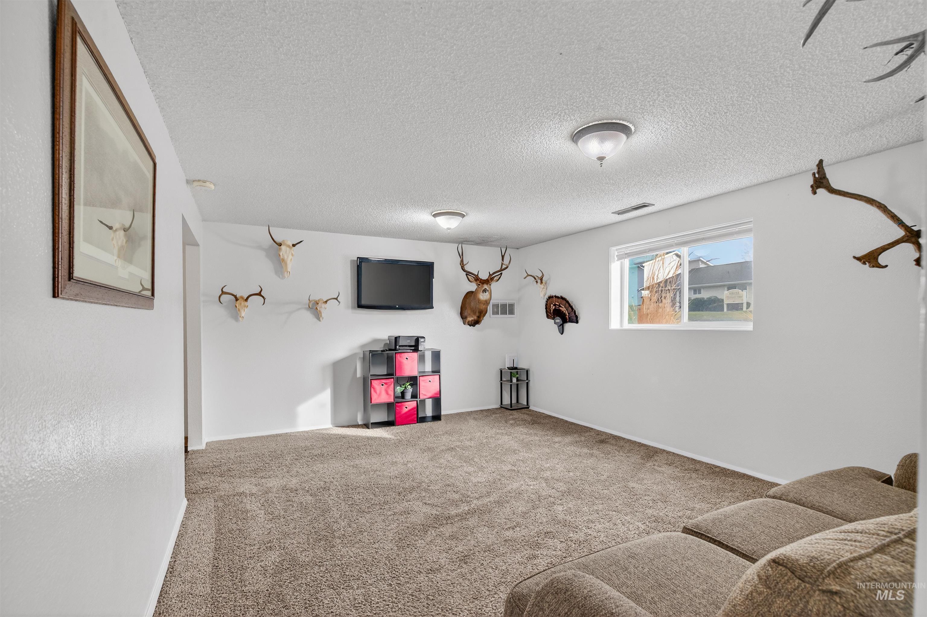 Recreation room with carpet and a textured ceiling