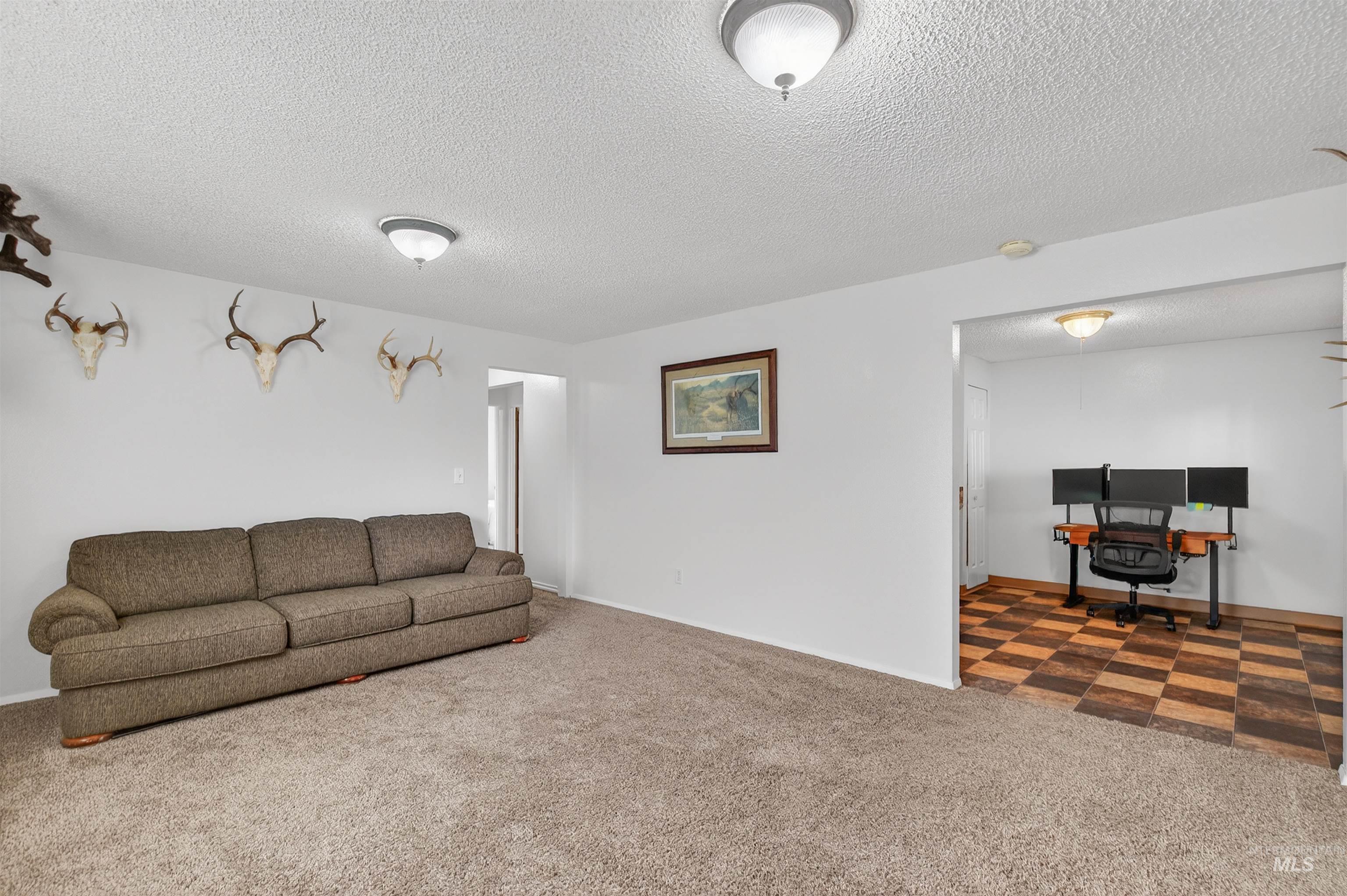 Living room with a textured ceiling and carpet flooring