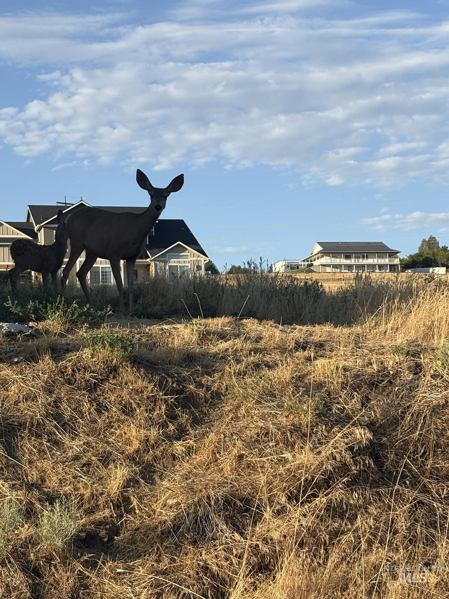 2600 Dove Road (Lot 29 Dove Replat)