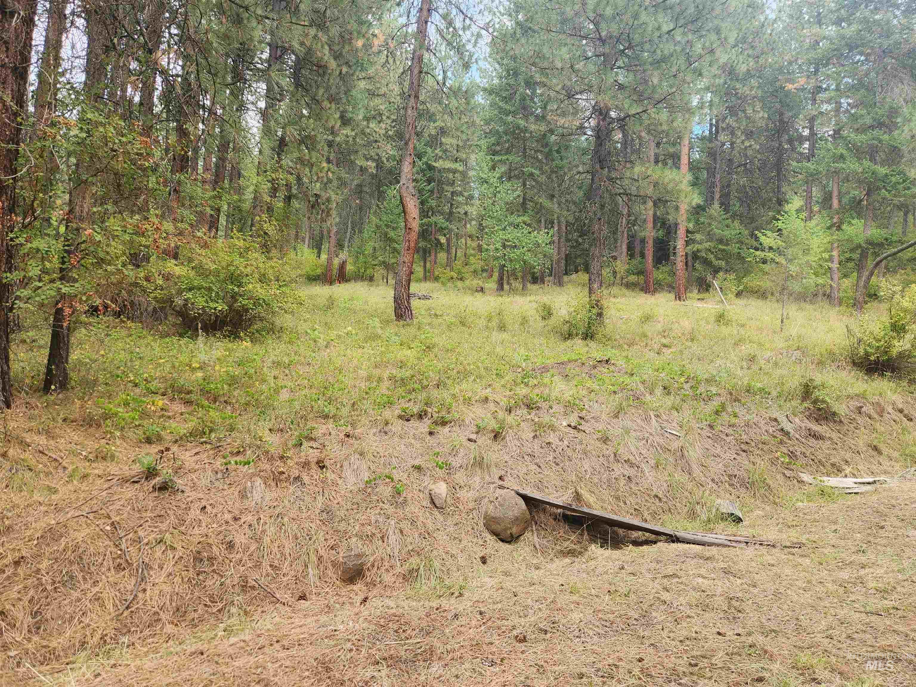 426 Lower Ranch Drive