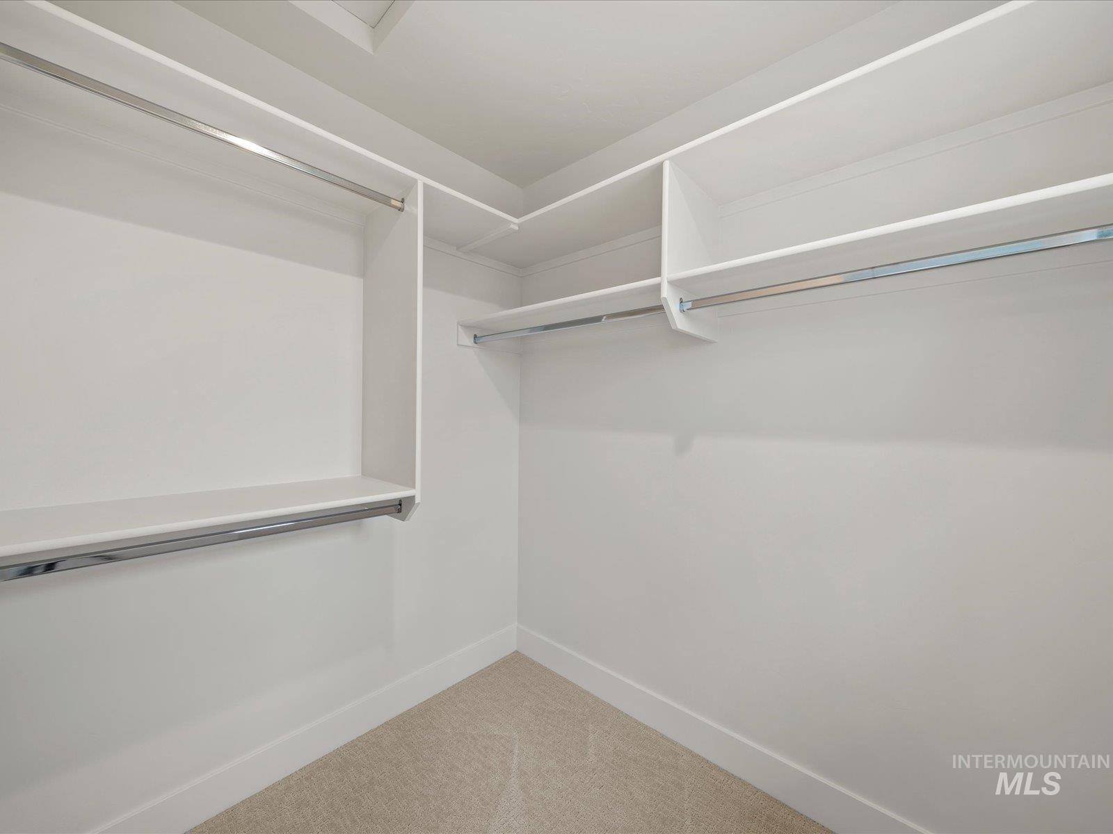 Spacious closet featuring light colored carpet