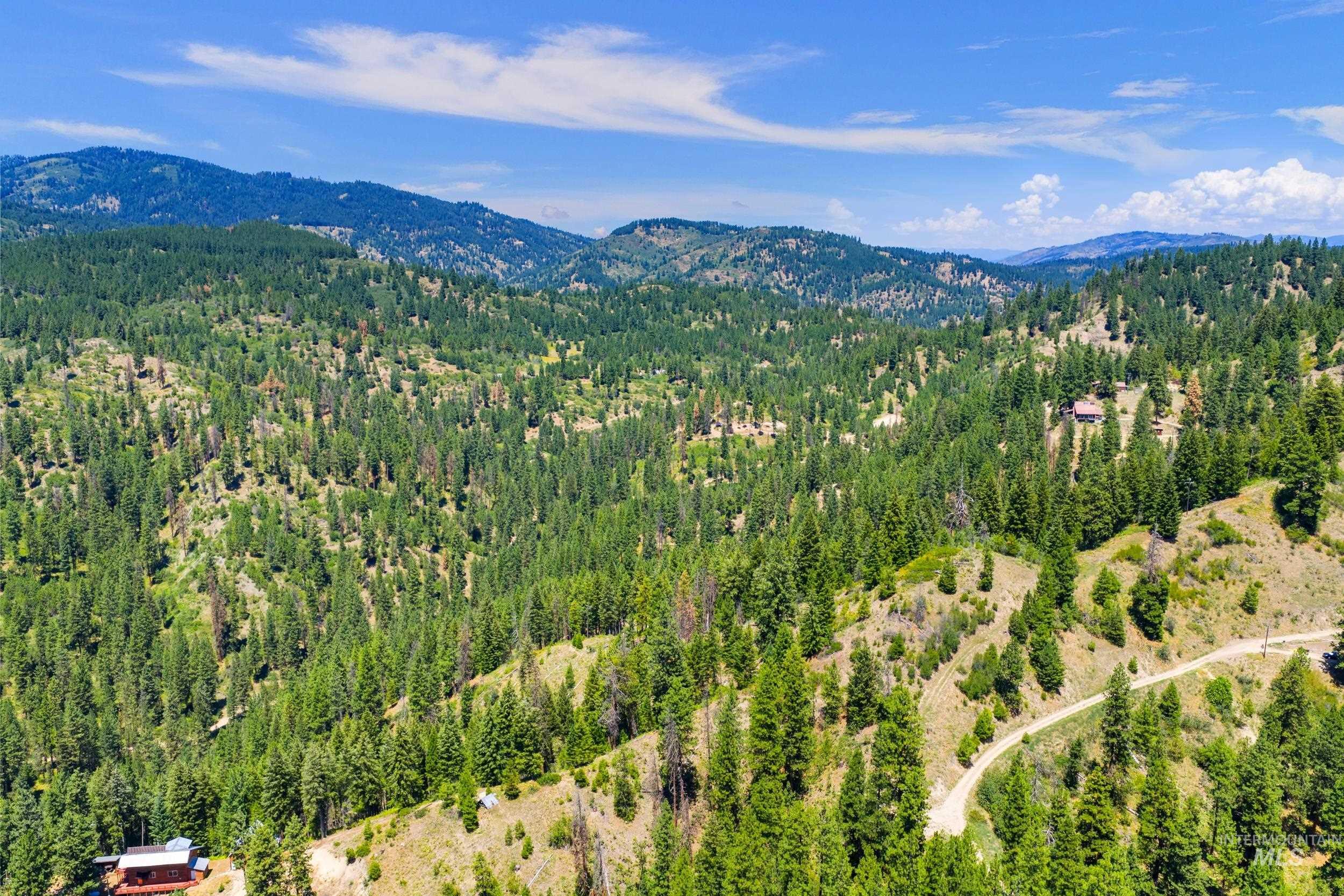 View of mountain background featuring a forest