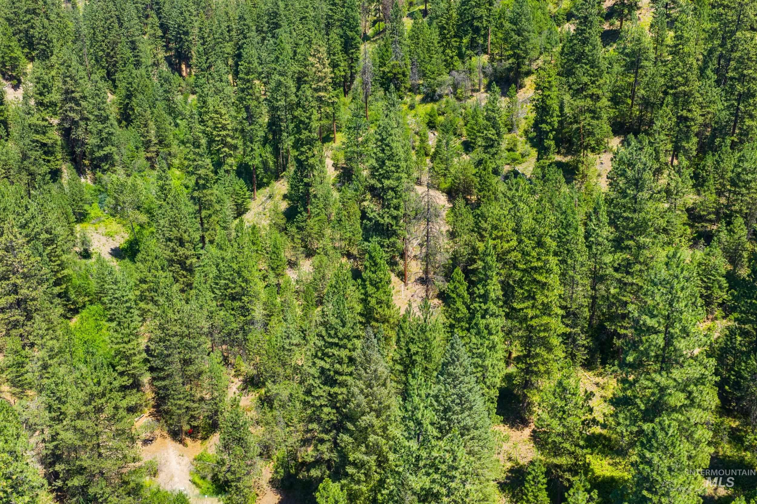 Aerial view of property's location featuring a forest