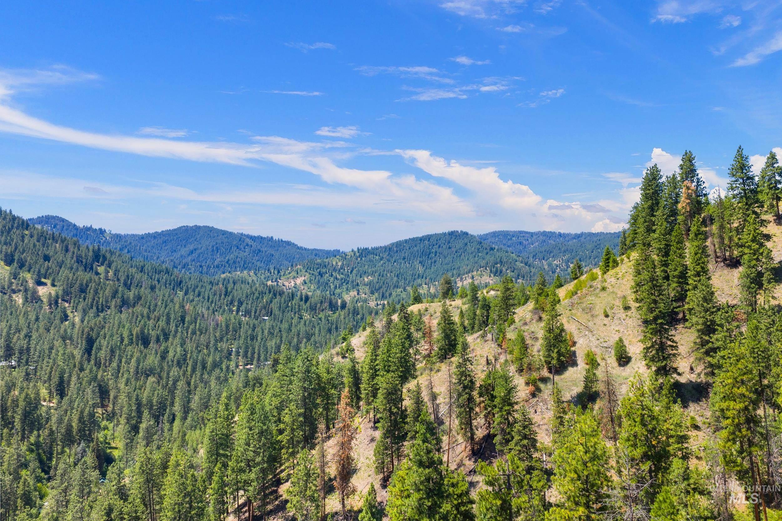 View of mountain backdrop featuring a forest