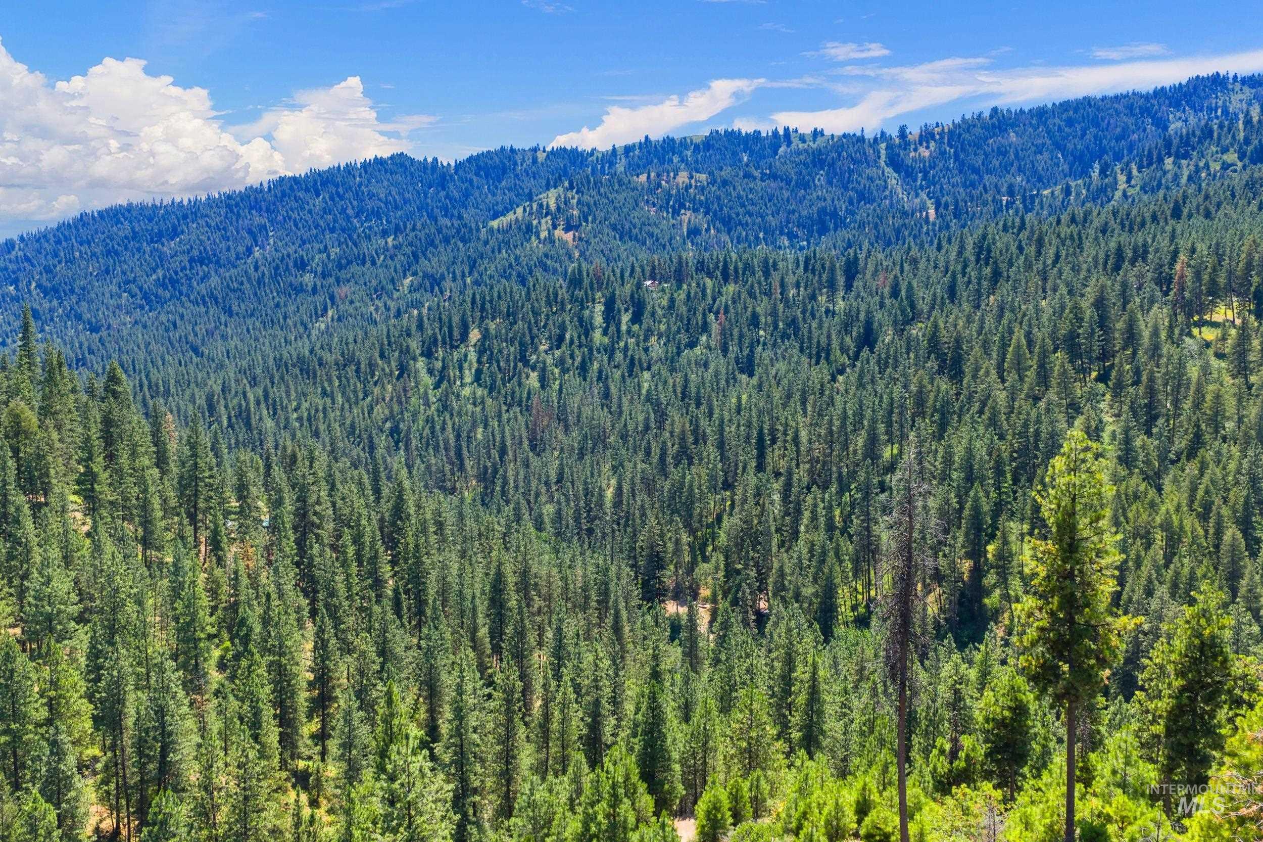 Mountain view with a heavily wooded area
