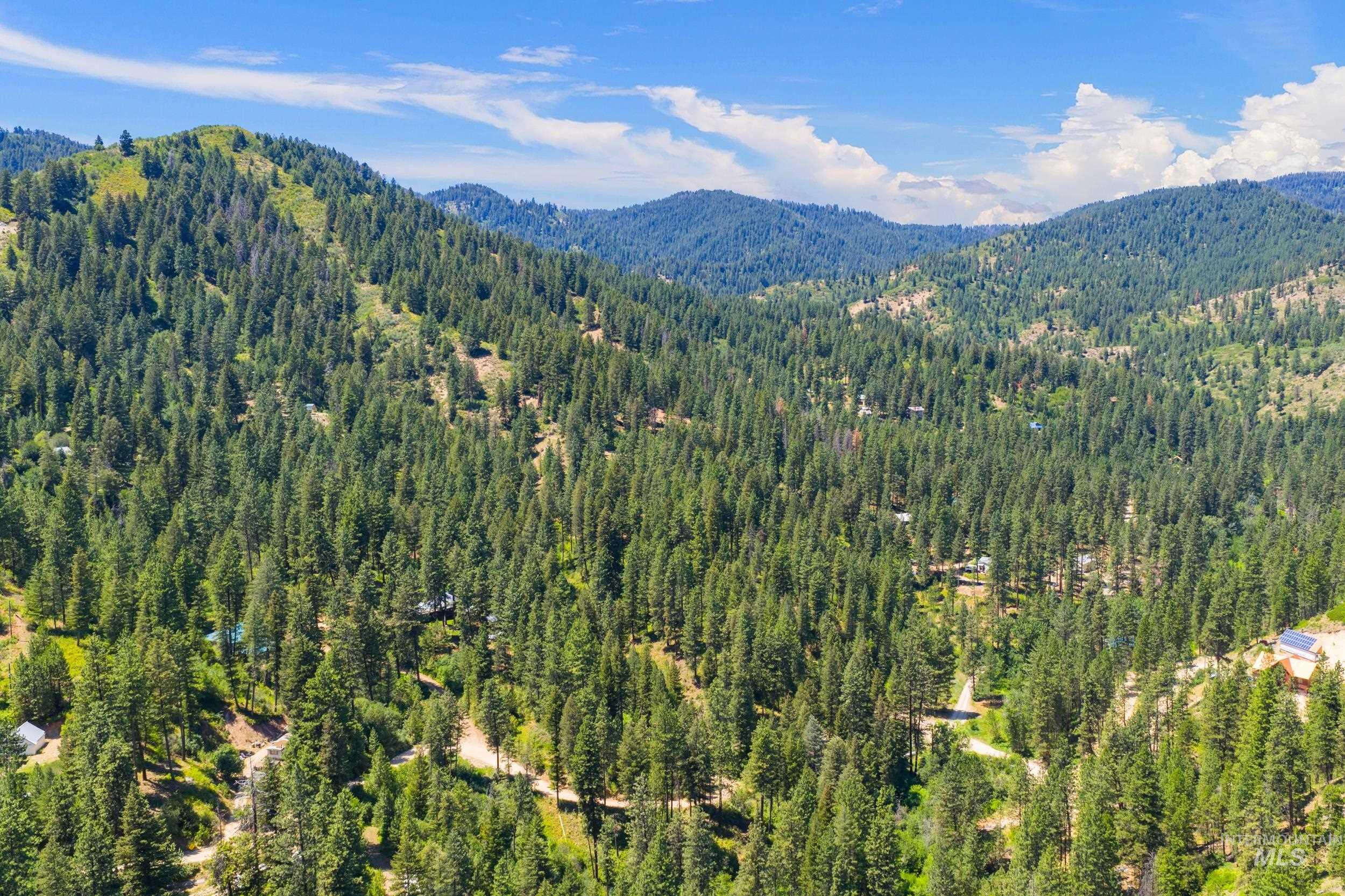 Mountain view with a forest