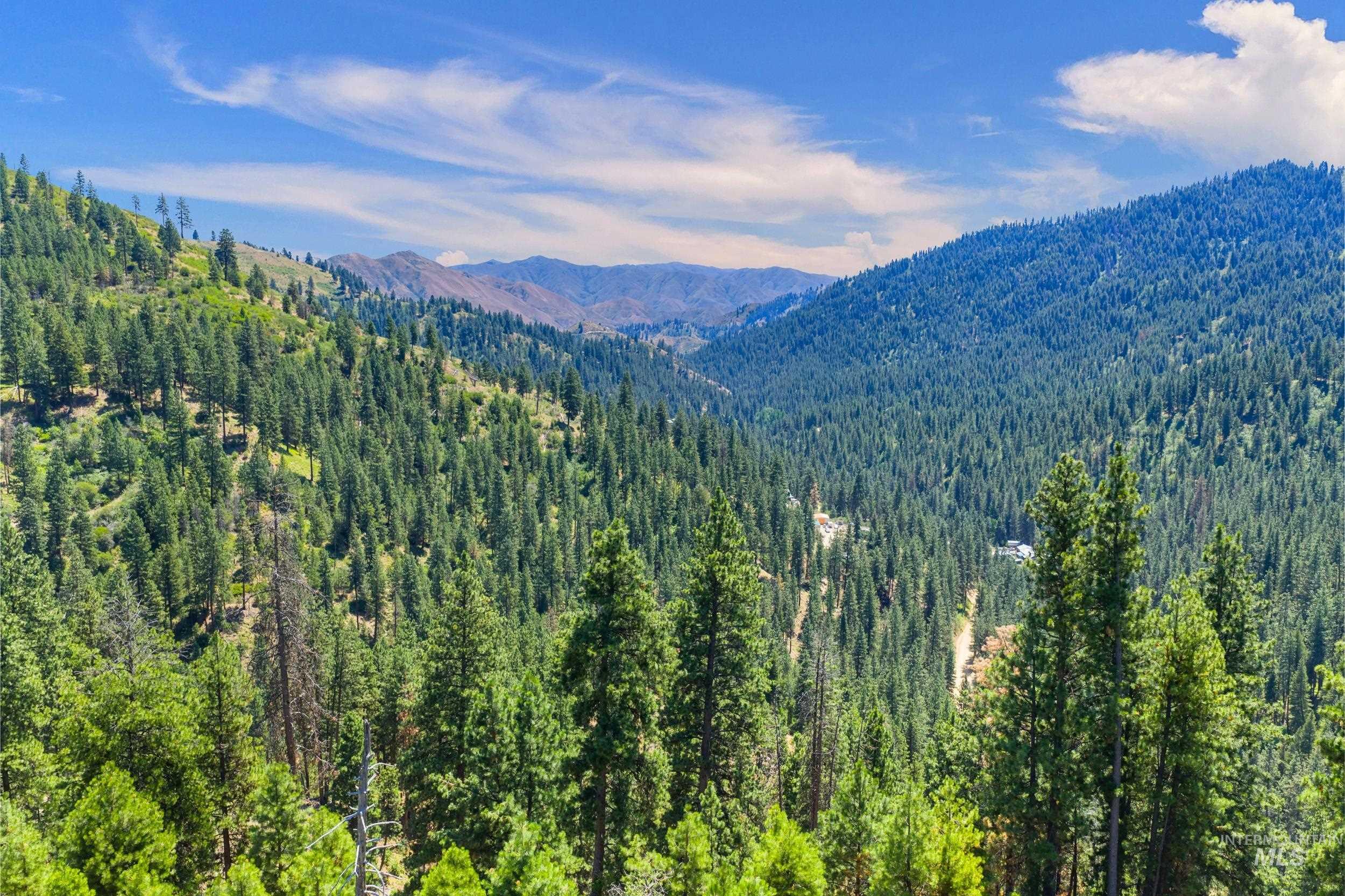 Mountain view featuring a heavily wooded area