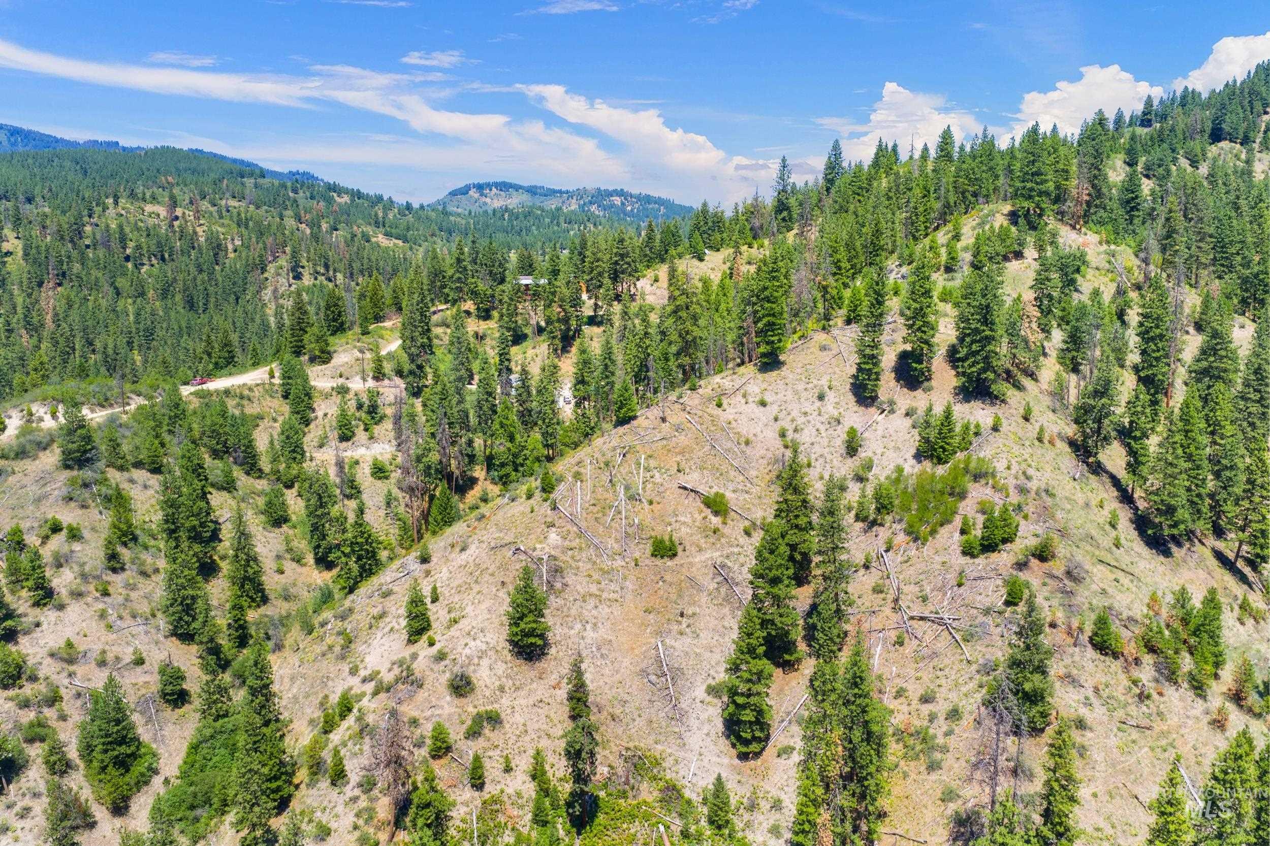 View of mountain backdrop featuring a heavily wooded area
