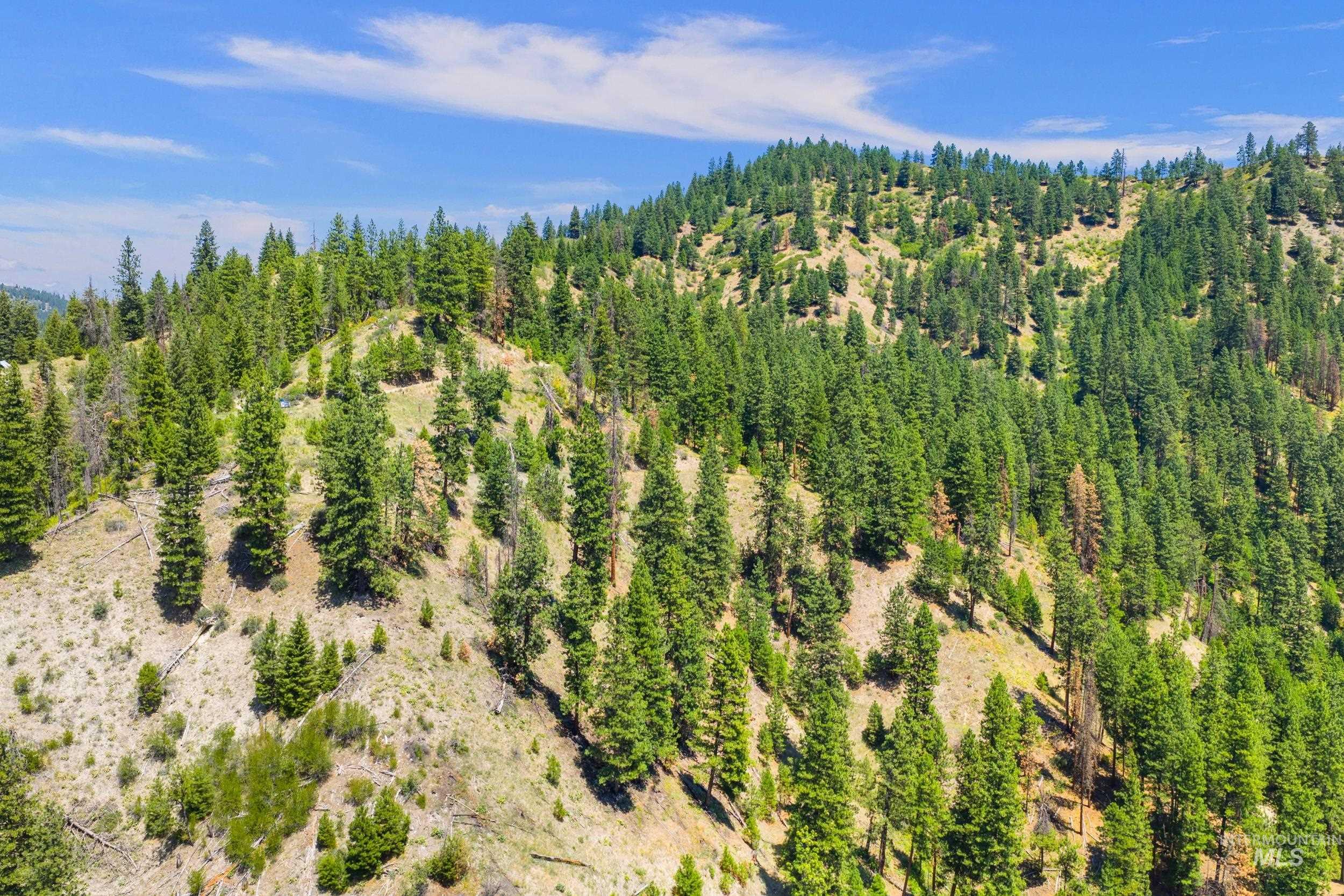 Bird's eye view of a heavily wooded area
