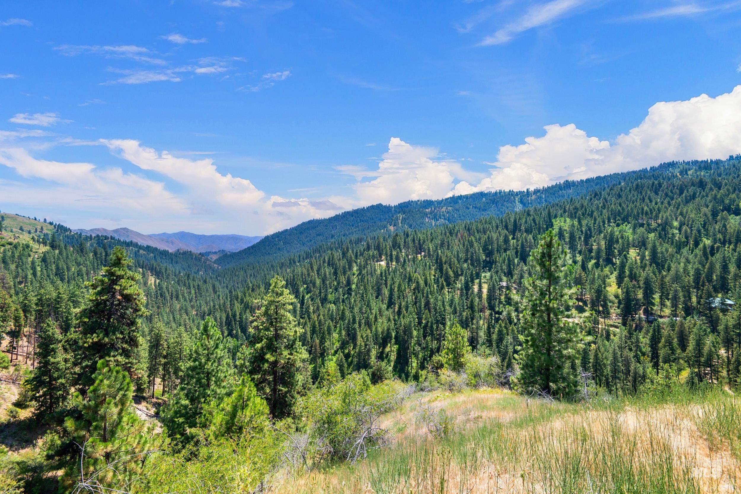 View of mountain background featuring a forest